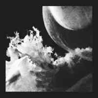 Embryo — JLin