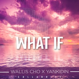 What If (feat. YankiDin) Wallis Cho