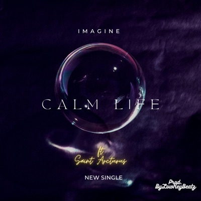 Calm Life - Single