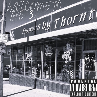 Welcome To the 3: BG City Chronicles (Vol 1.)
