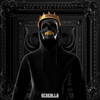 Bright, Brilliant, & Black - Screalla