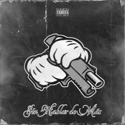 Sin Hablar de Mas (feat. Ludek EZG) - Single