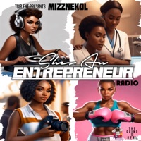 She's an Entrepreneur (Radio Edit) - Single - Mizznekol