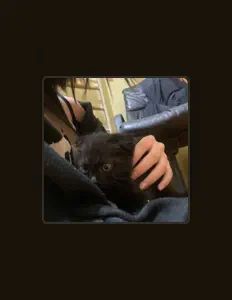 Listen to akiko!, watch music videos, read bio, see tour dates & more!