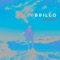 Brillo - Pez disco lyrics