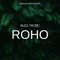 Roho - Blaq Tronic lyrics