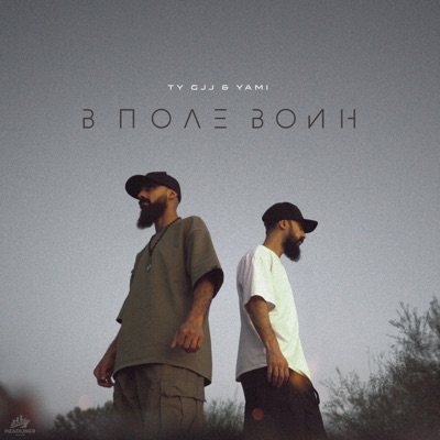 В ПОЛЕ ВОИН - Single