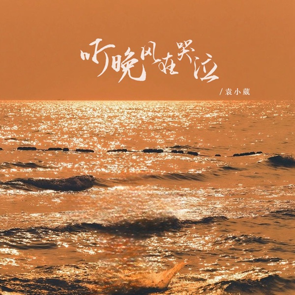 听晚风在哭泣 - Single