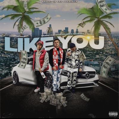 Like You (feat. Bravo the Bagchaser & BankRoll Baby) - Single