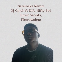 Saminaka (Remix) [feat. Dia, Nifty Boi, Kevin Words & Pherowshuz] - Single - Dj Cinch