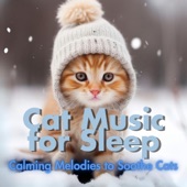 Cat Music for Sleep - Calming Melodies to Soothe Cats artwork