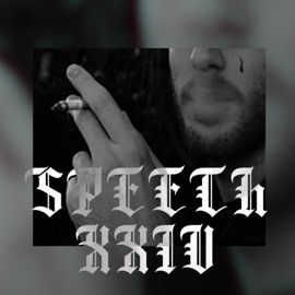 Speech XXIV Niqo de HGC