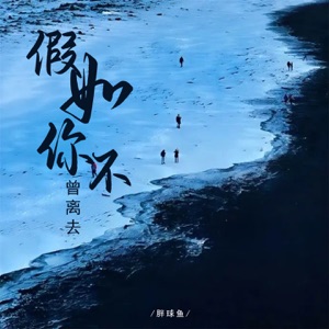 假如你不曾离去 - Single