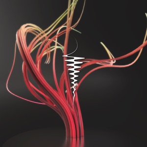 Hermaphrodite - Single