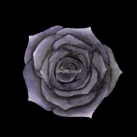 The Bad and the Suicidal Thoughts - Single - Karpo