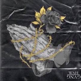 Pray For Me (feat. Kaleigh, PointBlank & TIMMZ) WAH GVNG