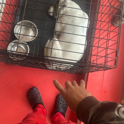 Str8 Kodiene - Single