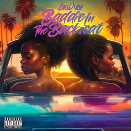 Baddie in the Backseat Big Vybe