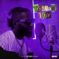 Tsunami Flow - Single - Tsunami