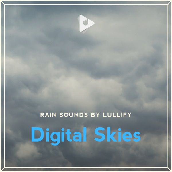 Digital Skies