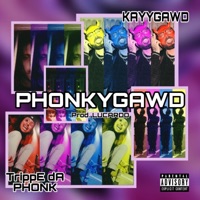 Phonkygawd - Single - KayyGawd & trippe da phonk