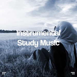 Instrumental Study Music