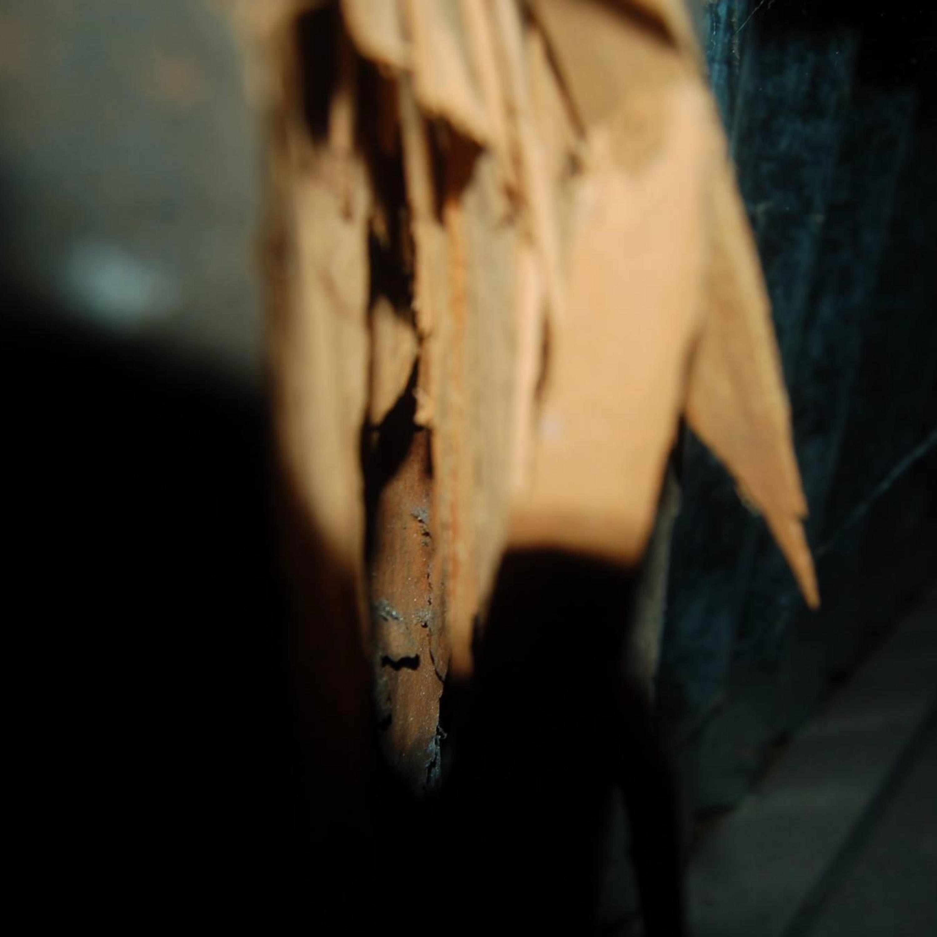 Scrapping Metal for Profit / Hoarders - Single