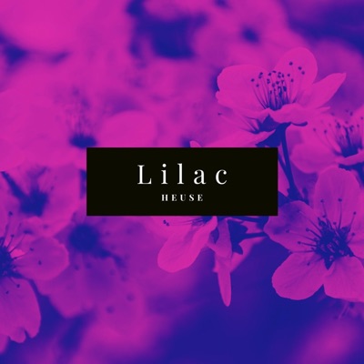 Lilac - Single