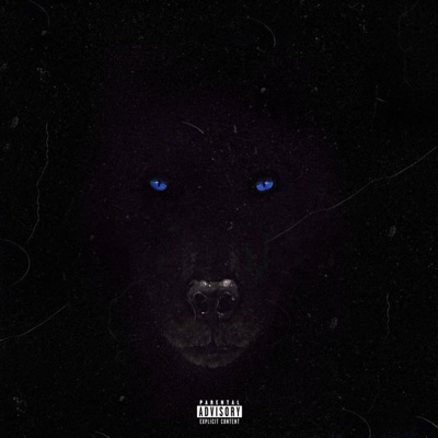 LUPO SOLITARIO (feat. PAV1) - Single