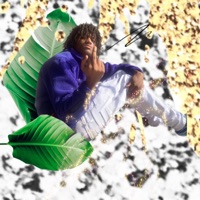 Stupid - Single - p4pslimey