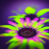 A Leveza - Single - Kalango & Projeto Primata