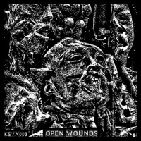 Unholy - Single - LS41