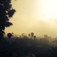 Addition (feat. Anarchychild) - Single - nskyi