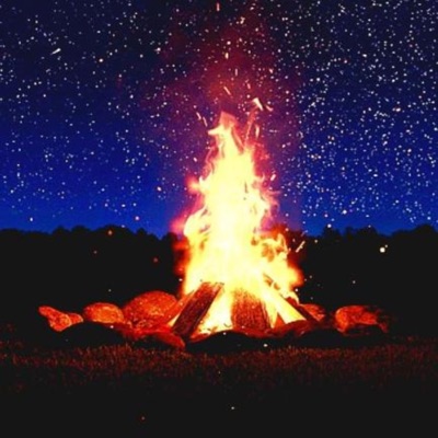 im Sorry... - Single