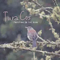 Tweeting in the Rain — Tura Cos
