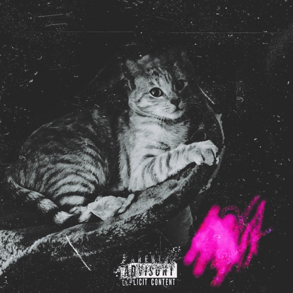 Tha Geeb Tape 4 Deluxe : Out of Spite Edition
