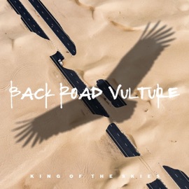 Rainfall (feat. MAV) Back Road Vulture