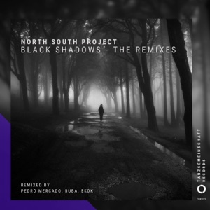 Black Shadows (Remixed) - Single