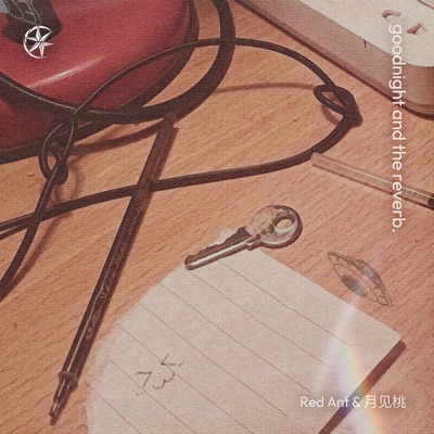 Goodnight and the Reverb - Single
