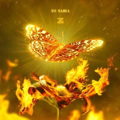 Yo Sabia - Single