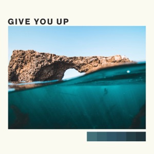 Give You Up