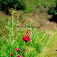 wanna be in love (feat. Low Vibes Forever & SpeedyTheRapper) - Single - LA Odyssey