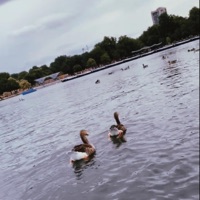 Back To It - Single - Trtl