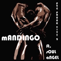mANDINGO (feat. sOUL aNGEL) - Single - hERB'n pOETRY