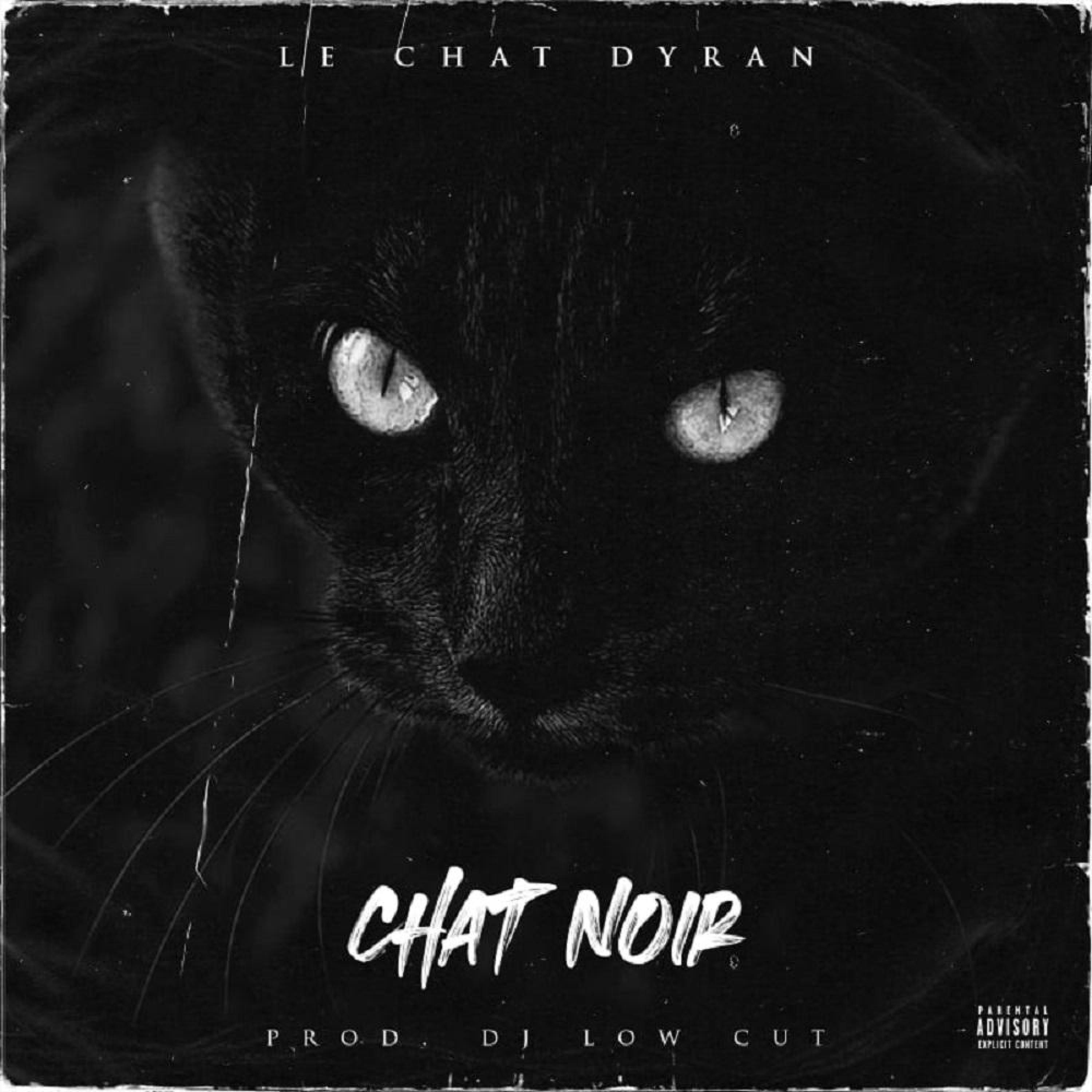 Chat Noir - Single