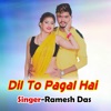 Dil To Pagal Hai - Single