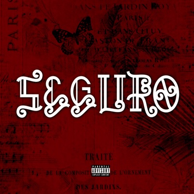 Seguro - Single