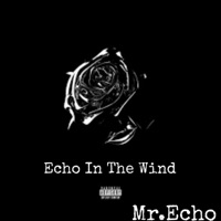Echo In the Wind (deluxe Version) - Mr. Echo