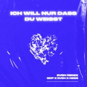 Ich will nur dass du weißt (IIVEN Remix) artwork