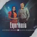 Experiencia